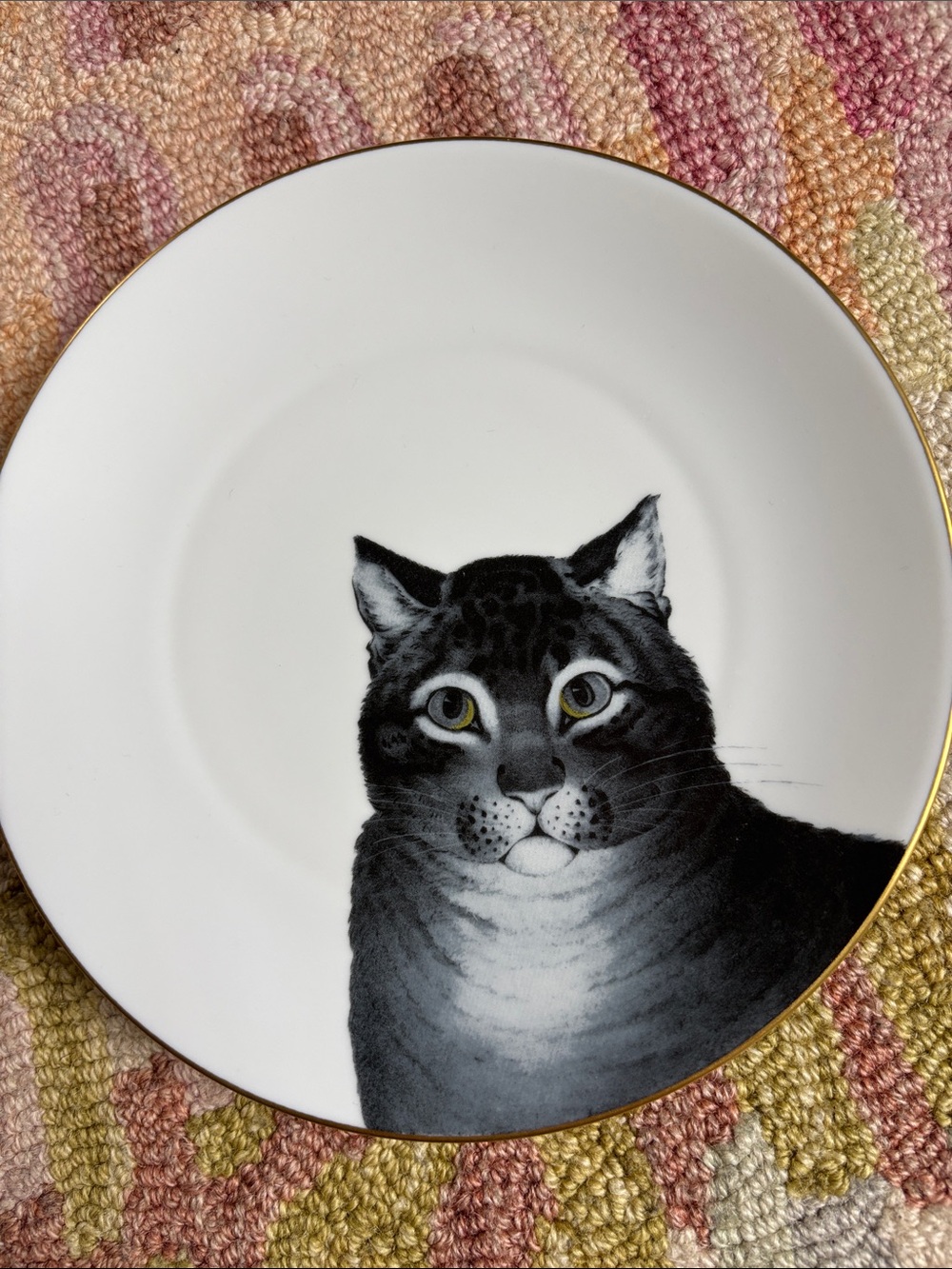 Metropolitan Museum of Art The Favorite Cat Plate by Limoges Serious Cat Face